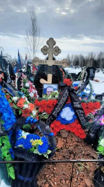 Жеребцов Дмитрий