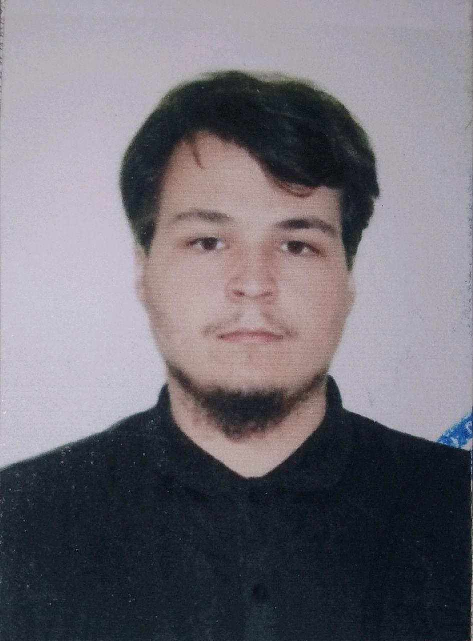 Мликов Владислав Игоревич