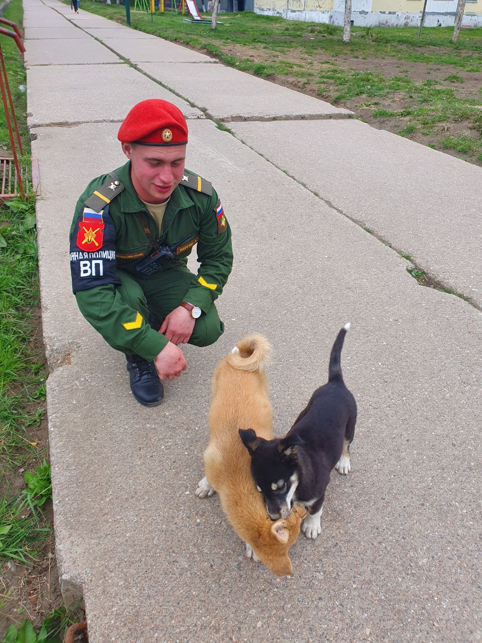 Вергин Анатолий Витальевич